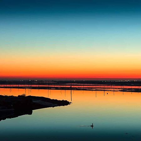 Apartments In Rosolina Mare 25119 エクステリア 写真